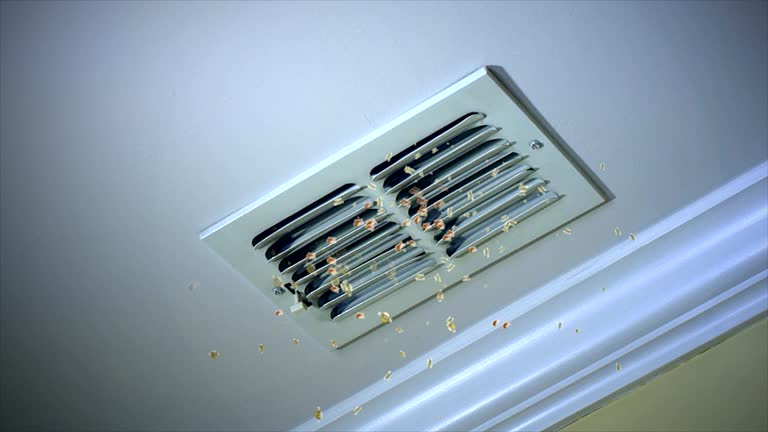 Best Emergency Air Duct Cleaning  in Frankton, IN