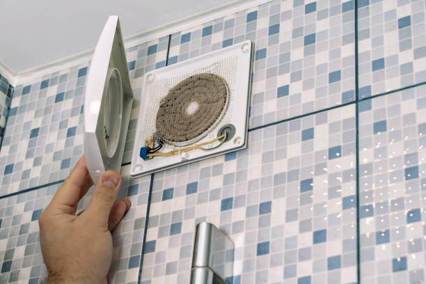 Best Affordable HVAC Duct Cleaning  in Frankton, IN