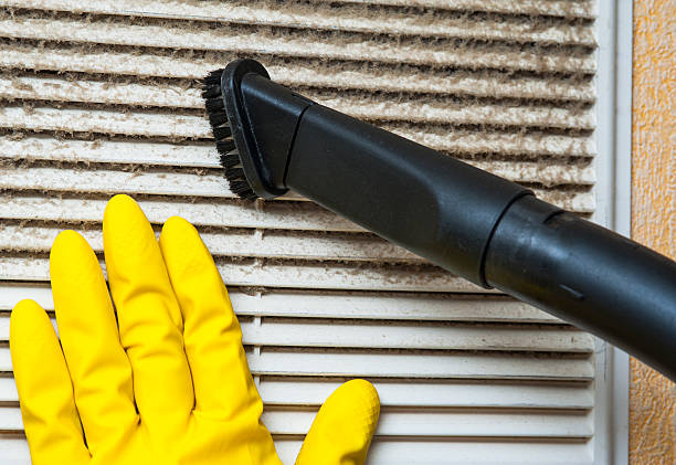 Best Affordable HVAC Duct Cleaning  in Frankton, IN